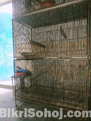 পাখির খাচা